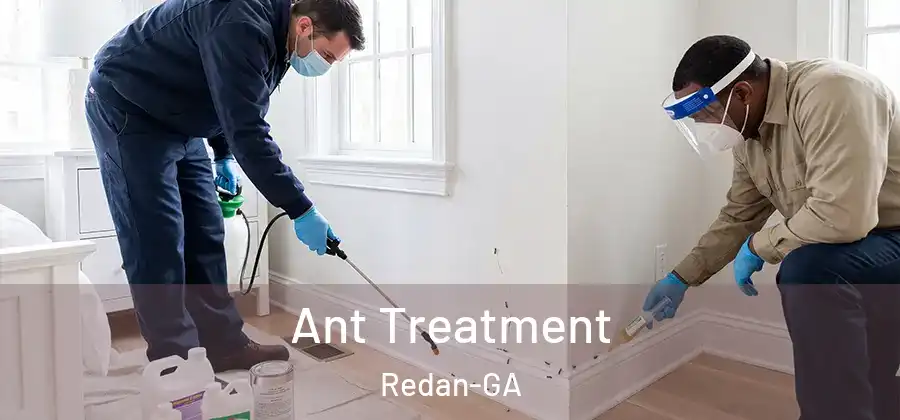 Ant Treatment Redan-GA