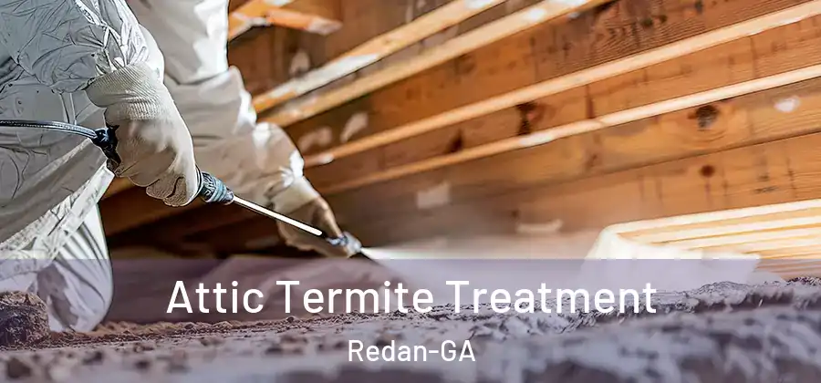 Attic Termite Treatment Redan-GA