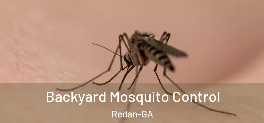 Backyard Mosquito Control Redan-GA