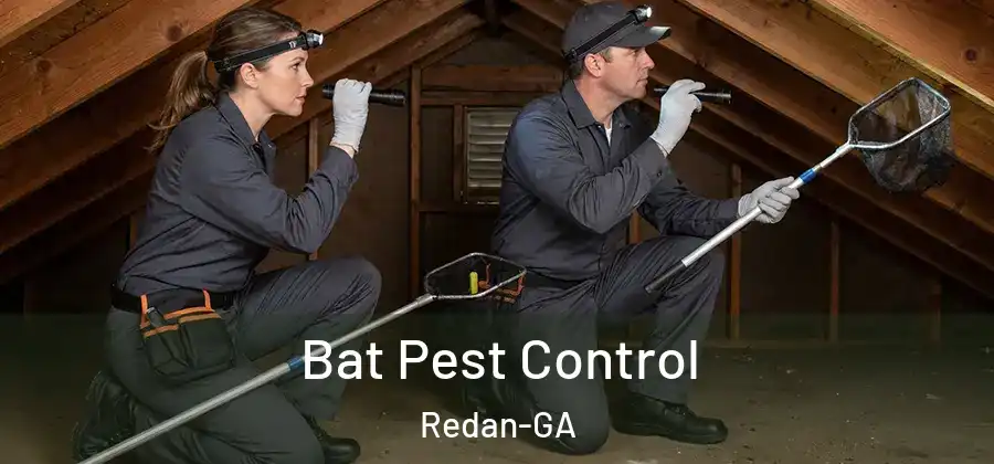 Bat Pest Control Redan-GA