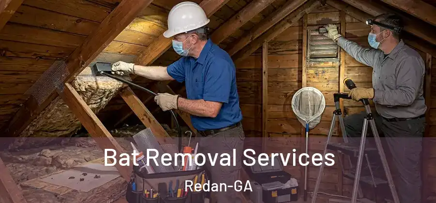 Bat Removal Services Redan-GA