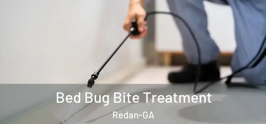 Bed Bug Bite Treatment Redan-GA