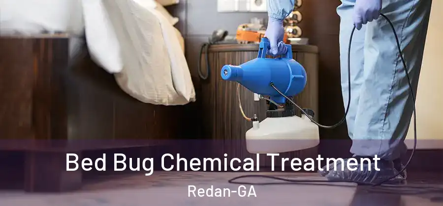 Bed Bug Chemical Treatment Redan-GA