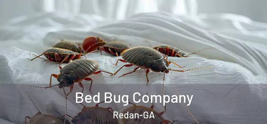 Bed Bug Company Redan-GA