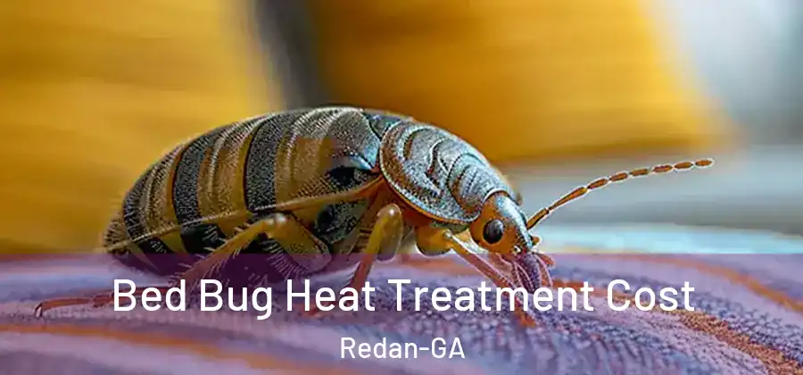 Bed Bug Heat Treatment Cost Redan-GA
