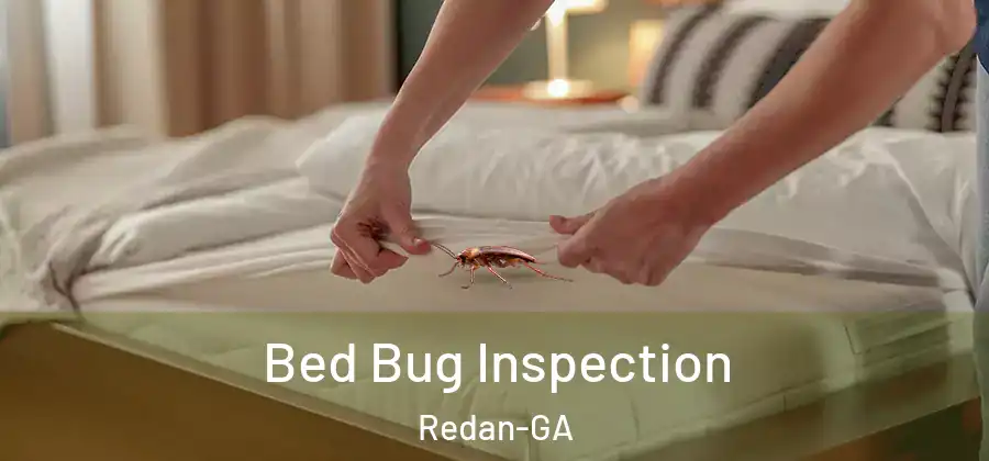 Bed Bug Inspection Redan-GA