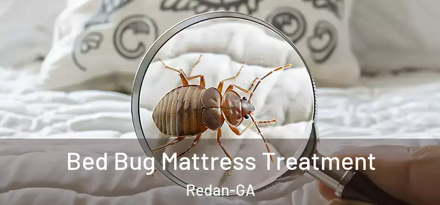 Bed Bug Mattress Treatment Redan-GA