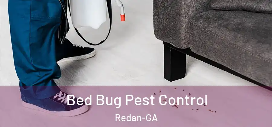 Bed Bug Pest Control Redan-GA