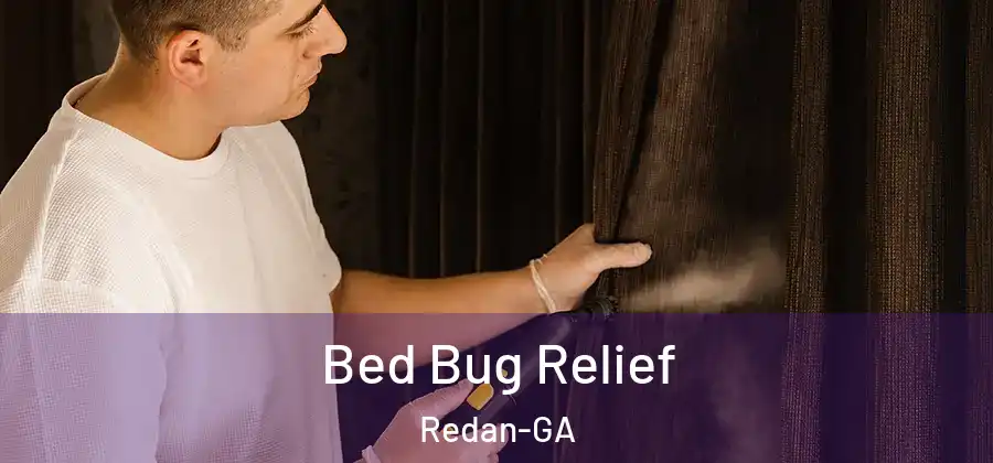 Bed Bug Relief Redan-GA