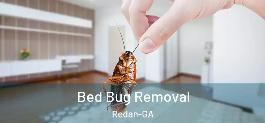 Bed Bug Removal Redan-GA