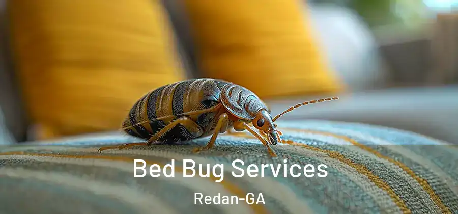 Bed Bug Services Redan-GA