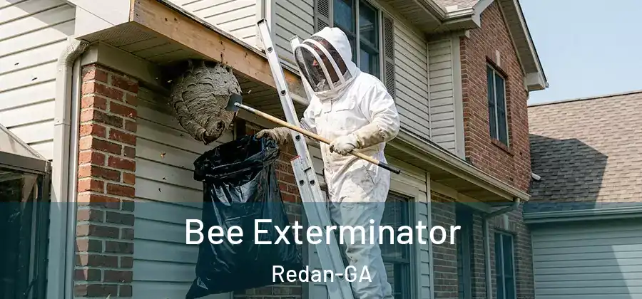 Bee Exterminator Redan-GA