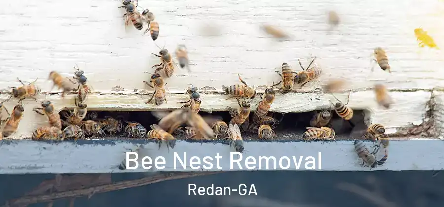 Bee Nest Removal Redan-GA