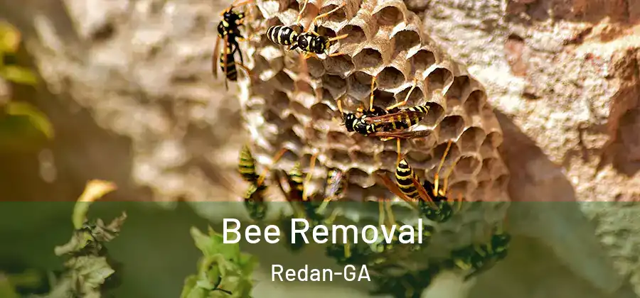 Bee Removal Redan-GA