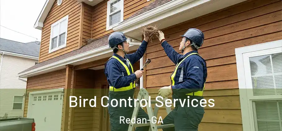 Bird Control Services Redan-GA
