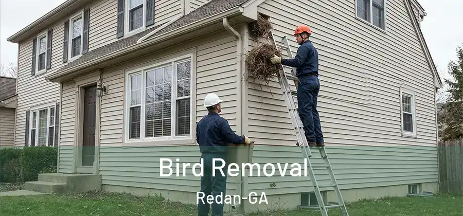 Bird Removal Redan-GA