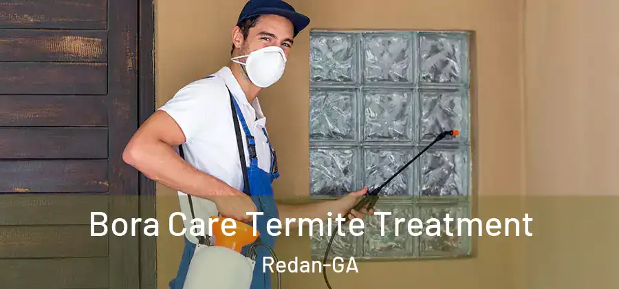 Bora Care Termite Treatment Redan-GA