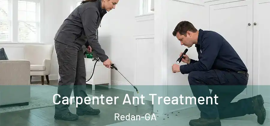 Carpenter Ant Treatment Redan-GA