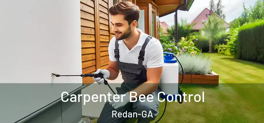 Carpenter Bee Control Redan-GA