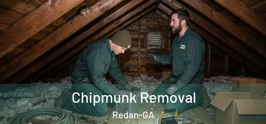 Chipmunk Removal Redan-GA