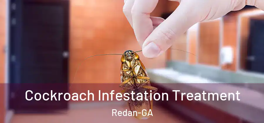 Cockroach Infestation Treatment Redan-GA