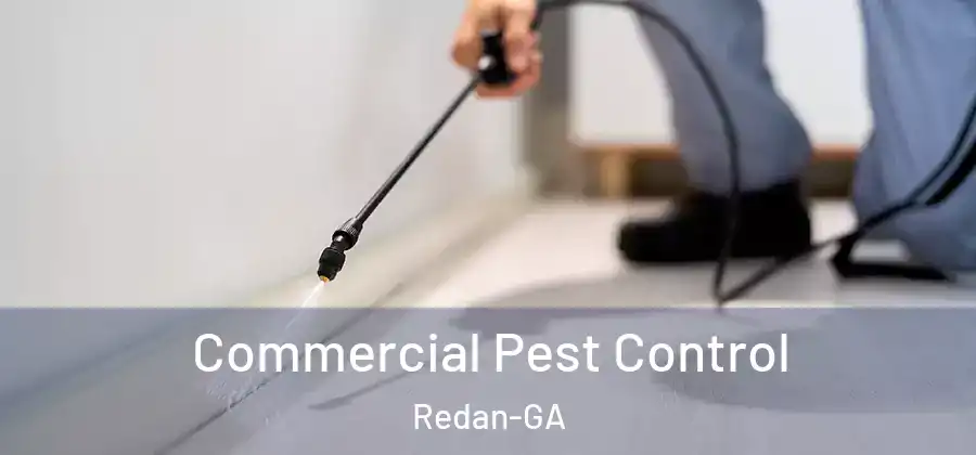 Commercial Pest Control Redan-GA