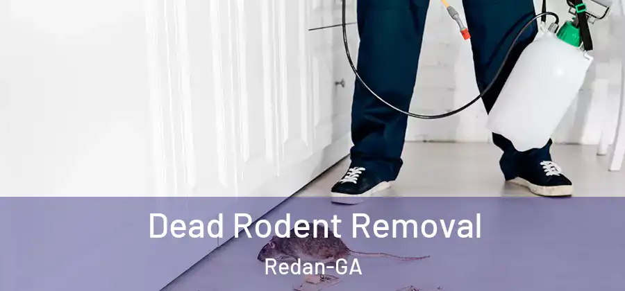 Dead Rodent Removal Redan-GA