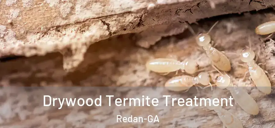 Drywood Termite Treatment Redan-GA