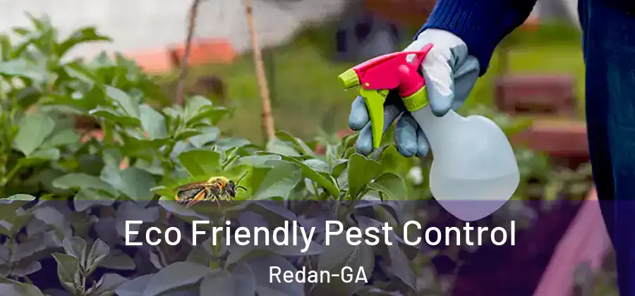 Eco Friendly Pest Control Redan-GA