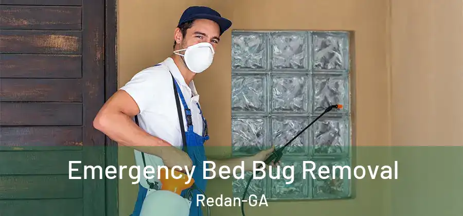Emergency Bed Bug Removal Redan-GA