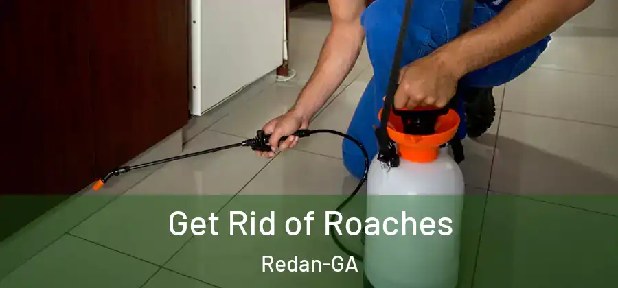 Get Rid of Roaches Redan-GA