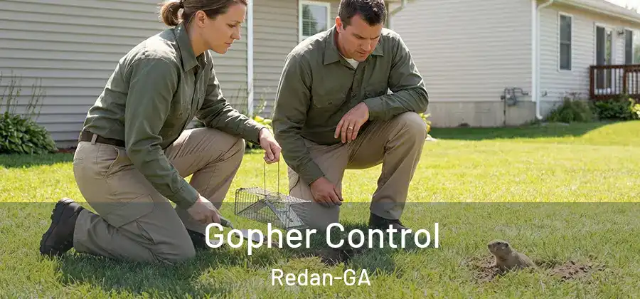 Gopher Control Redan-GA