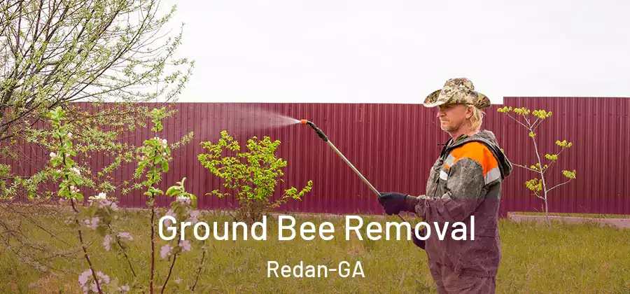 Ground Bee Removal Redan-GA