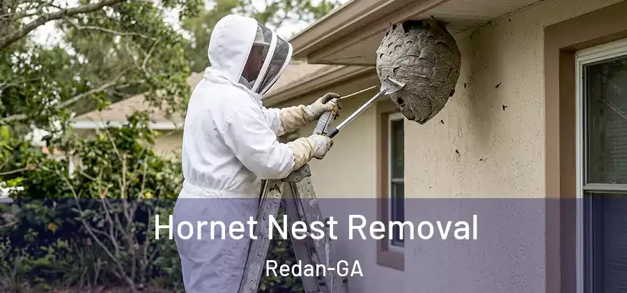Hornet Nest Removal Redan-GA