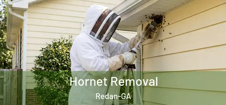 Hornet Removal Redan-GA