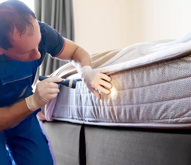 Bed Bug Heat Treatment