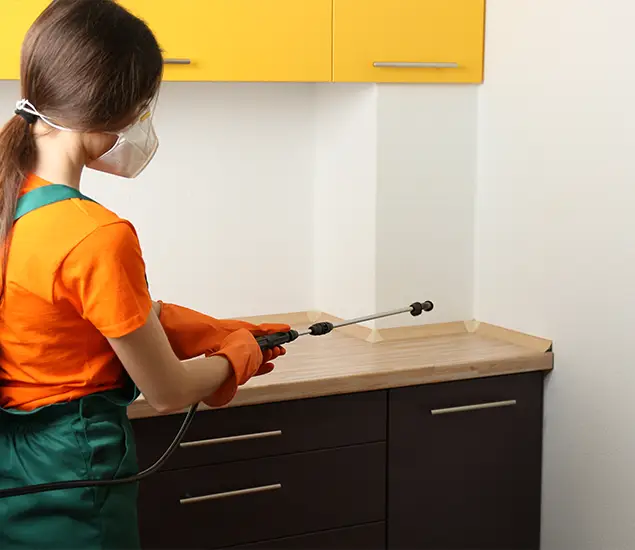 Trusted Bed Bug Pest Control Specialist in Redan, GA