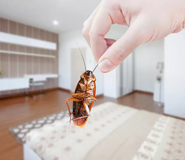 Your Cockroach Control Services in Redan, GA