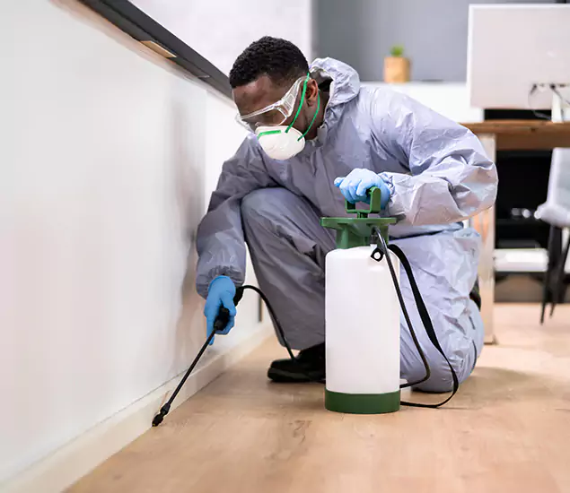 Leading Industrial Pest Control Experts Serving Redan, GA
