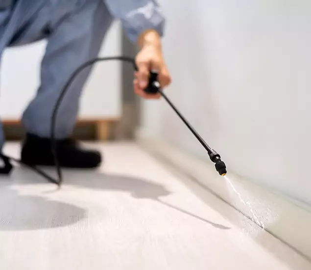 About Our Liquid Termite Treatment Experts in Redan, GA