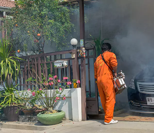 Your Proven Mosquito Fogging Company in Redan, GA