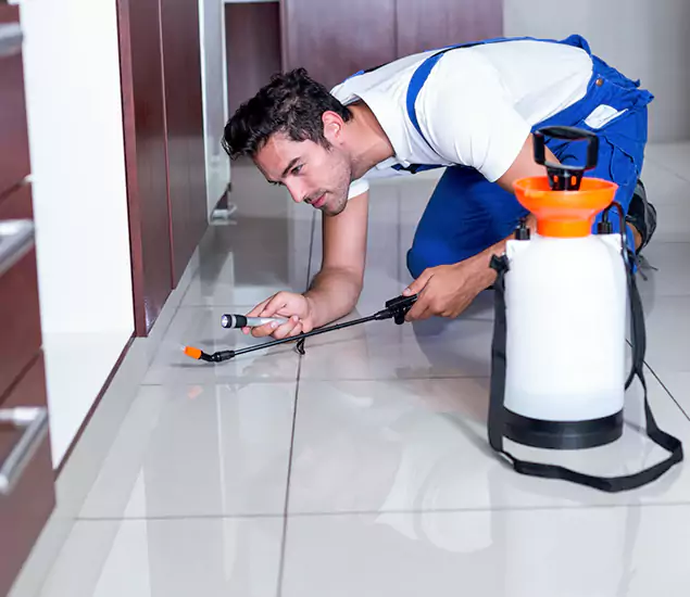 Reliable Professional Mouse Removal: Your Best Mouse Control Company in Redan, GA
