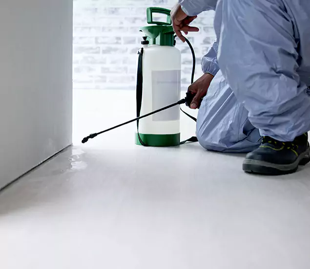 Affordable Pest Control Experts in Redan, GA