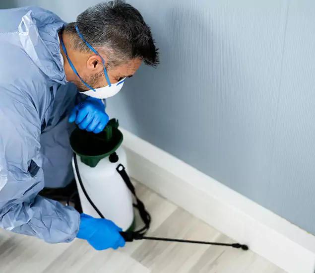 Reliable Termite Cost Experts in Redan, GA