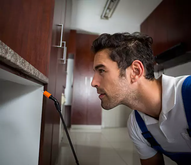Termite Inspection Cost Experts You Can Trust in Redan, GA