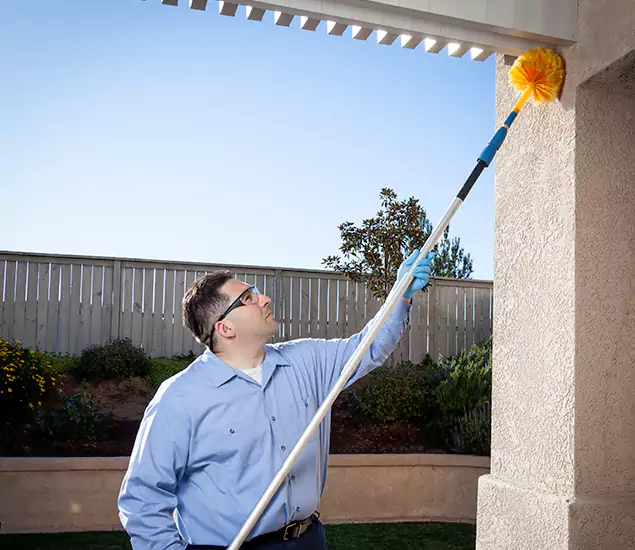 Your Trusted Wasp Removal Company in Redan, GA