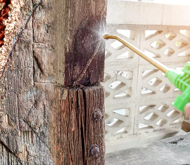 About Wood Termite Treatment Services in Redan, GA