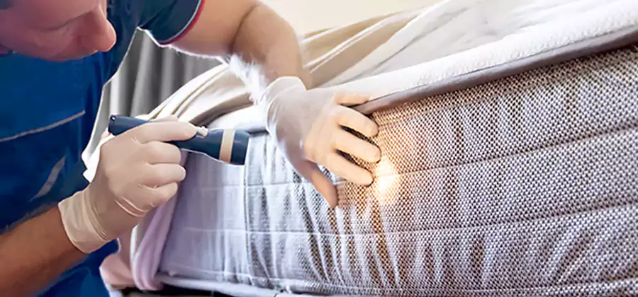 Residential Bed Bug Treatment Cost in Redan