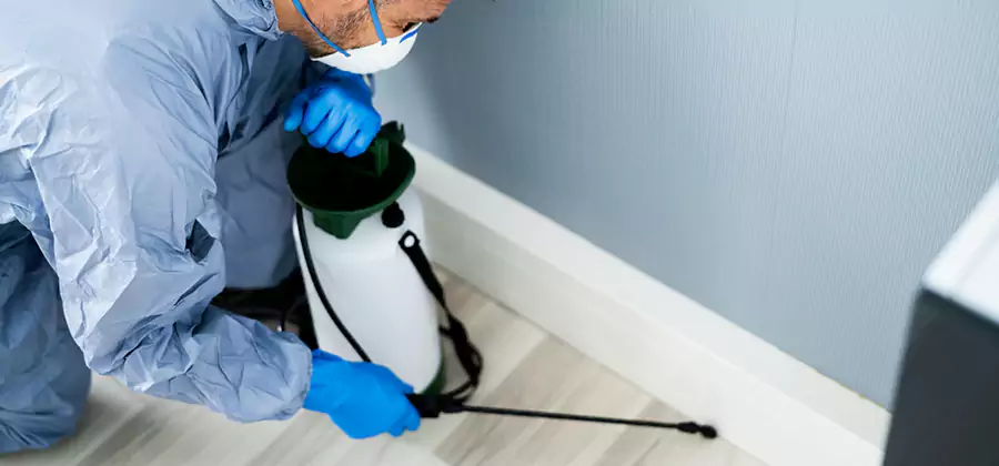 Fumigate Apartment Roaches in Redan