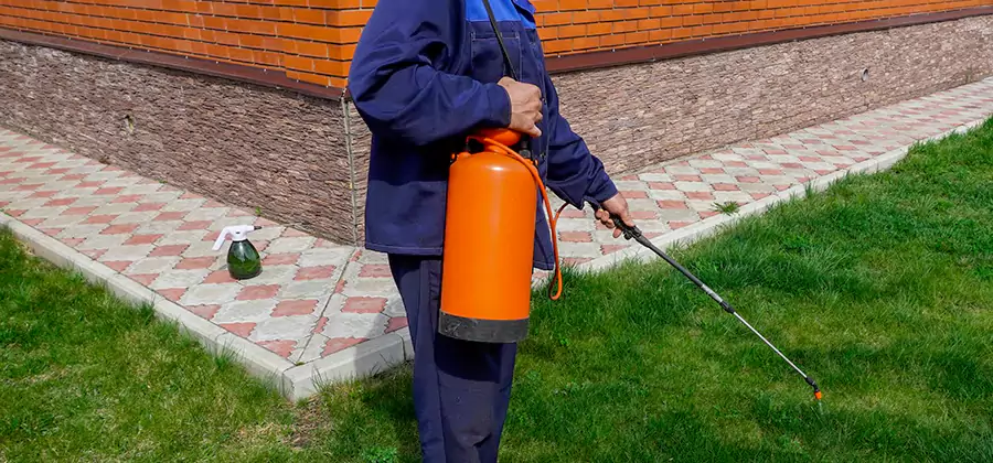Non Toxic Termite Treatment in Redan